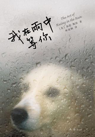 我在雨中等你